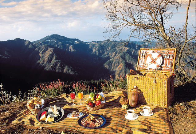 Picnic in the forest Photo: Wildflower Hall, Oberoi