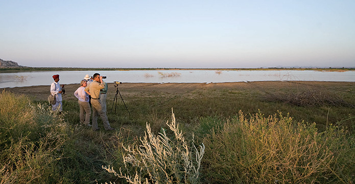 BIrd walks in the evening are must