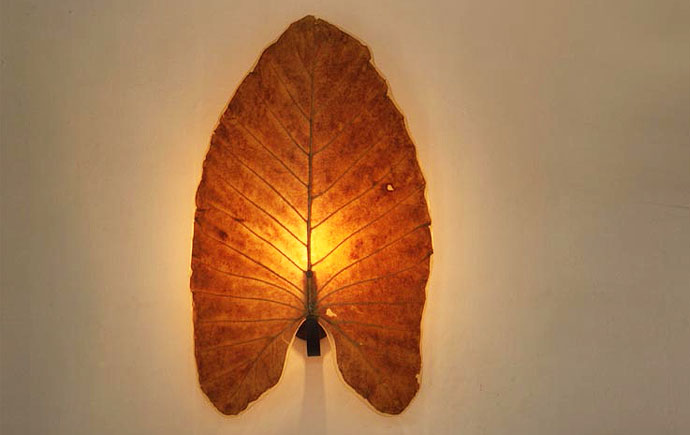 DESIGN & DÉCOR AT SOTOHAUS Design & décor at Sotohaus | The elephant ear lamp