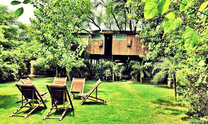 FIND LOVE IN THE WOODS | Each Tree House nest is christened after a bird found in the area