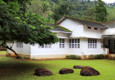 SPOTLESS PERFECTION | The bungalow stands tall amidst vast expanses of green and resembles an innocent budding flower, thanks to its pristine white hue