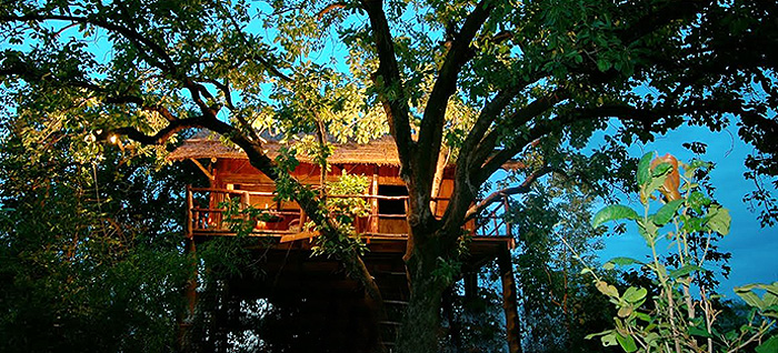 CENTRAL CALM | If the idiom ‘call of the wild’ ever came true, the Tree House Hideaway will be the result; and an uber-luxe one for sure!