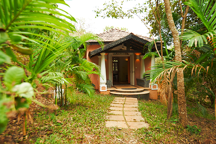 EARTHY AND EXOTIC | With the owners having planted some 1500 trees and plants as a natural green cover, Wildflower Villas and its grounds are a veritable showcase for Goan flora and fauna