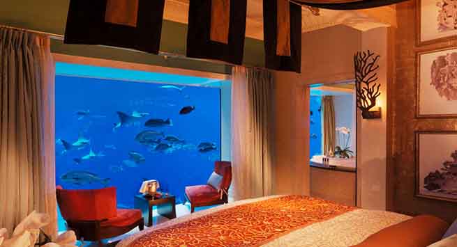 A stay at the Neptune and Poseidon Suites would bring you face to face with a marine world full of vibrant fish and magnificent manta rays 