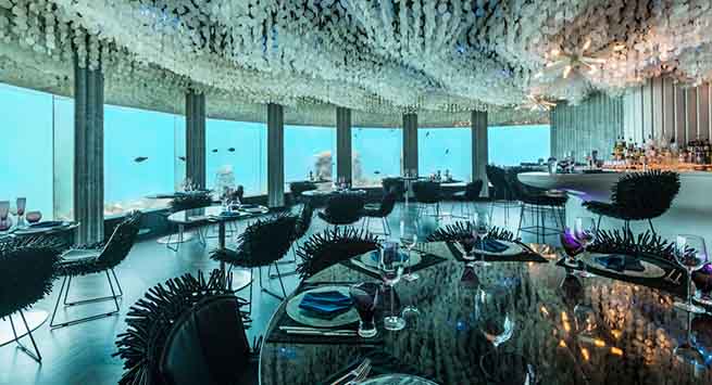 Niyama resort takes you 20 feet deep under the sea for a dinner date with creatures of the blue at its restaurant Subsix