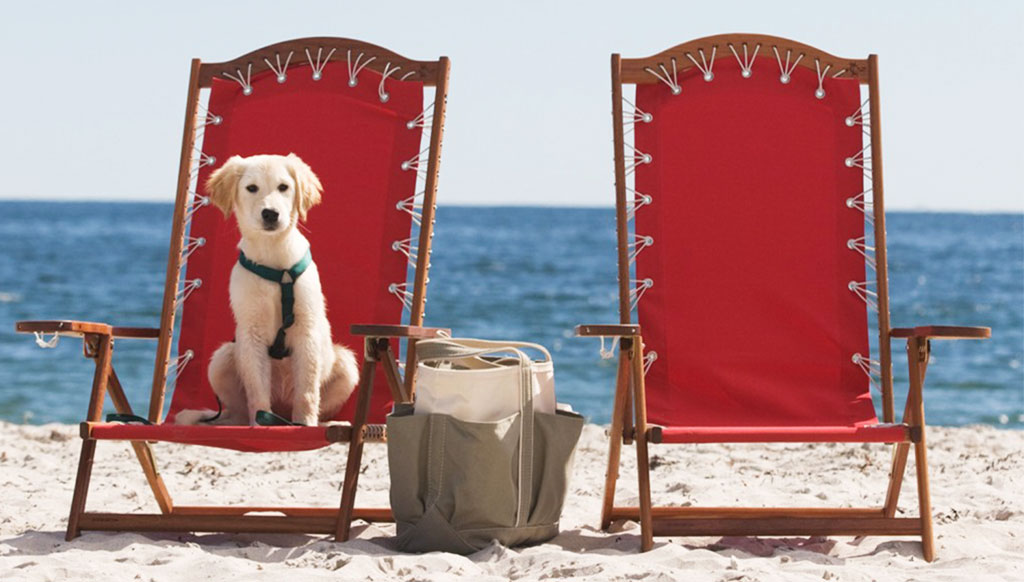 Take man’s best friend along on your vacation