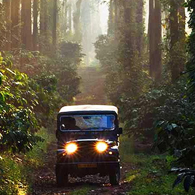 Guided Jeep