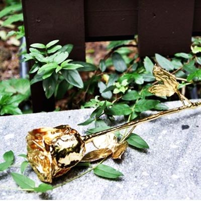 diamonds roses