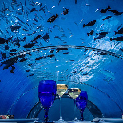 worlds biggest underwater r