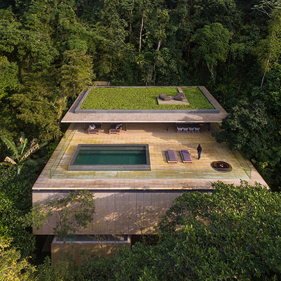 the brazilian rainforest
