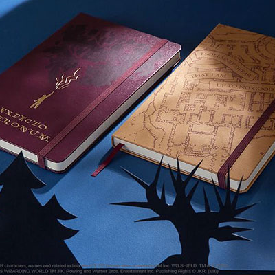 harry potter inspired