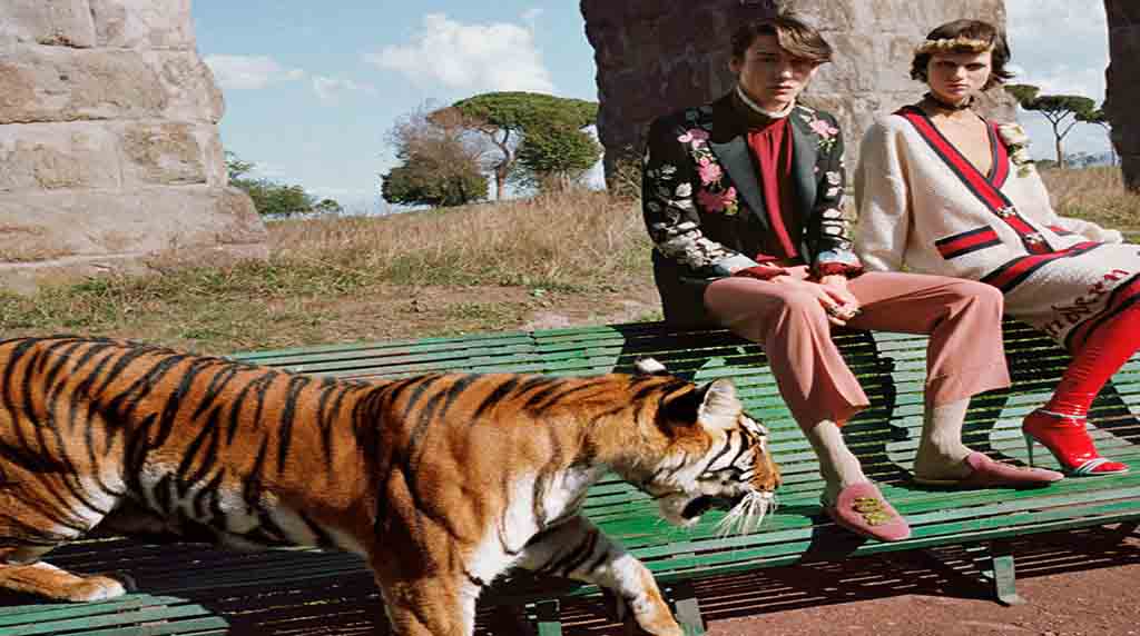 Bengal Tigers inspire Gucci’s new Spring Summer 17 collection