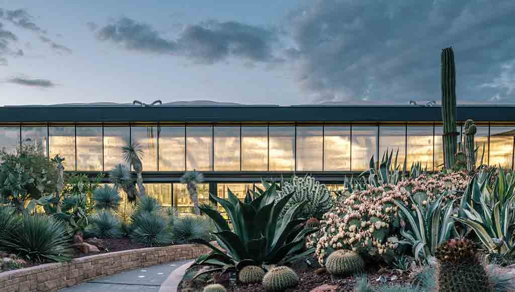 A Desert City Center for cactus aficionados in Spain