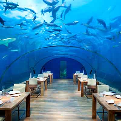 Aquatic Allure: world’s most fascinating underwater villas & restaurants