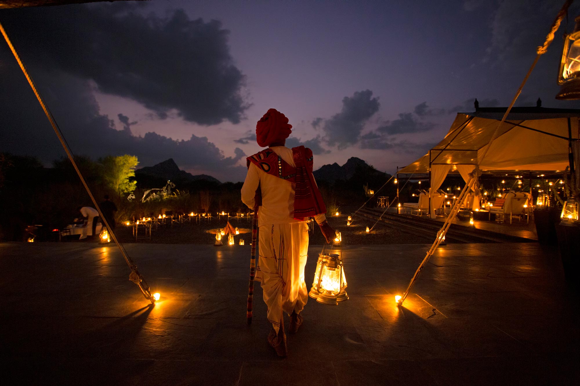 The Luxe Café’s guide to best wildlife stays in India The Luxe Café’s guide to best wildlife stays in India