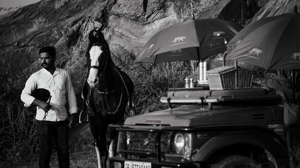 Sundowner-curated-by-Sariska-Lodge