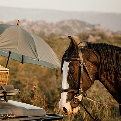 luxury-travel
